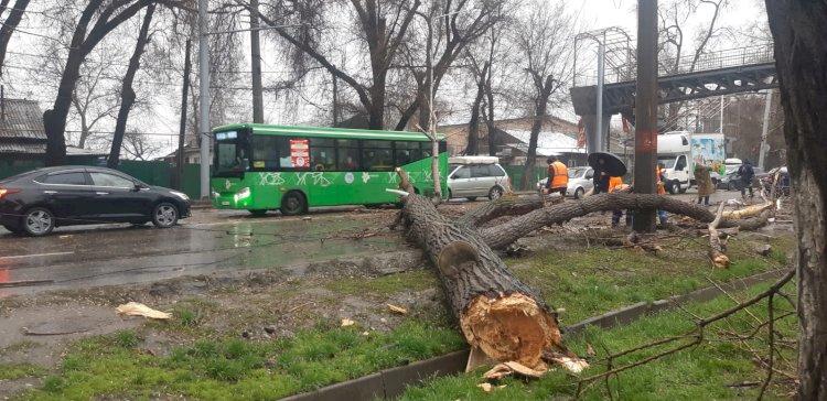 Как в Алматы ликвидируют последствия непогоды