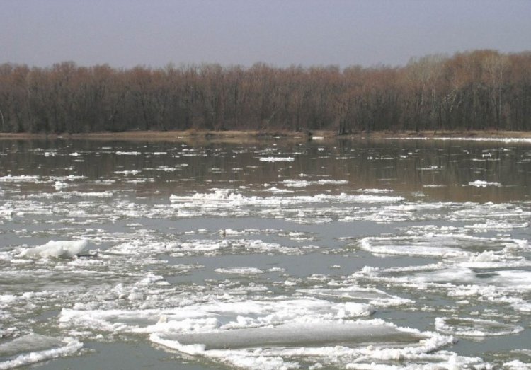 О паводковой обстановке в Казахстане рассказали в МЧС