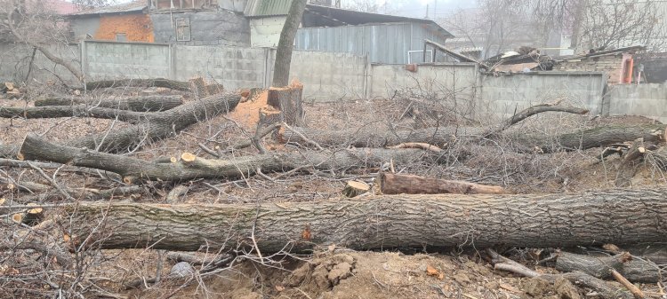 Дежурный по городу. Вопросы без ответов