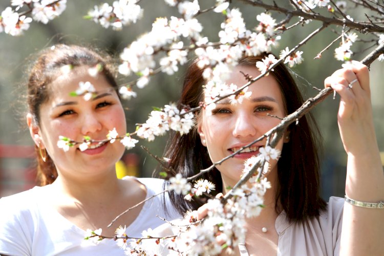 Как прекрасна весна в Алматы: расцветают не только деревья, но и девушки