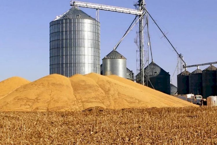 Мукомолы Казахстана приостанавливают работу на неопределенный срок из-за нехватки зерна
