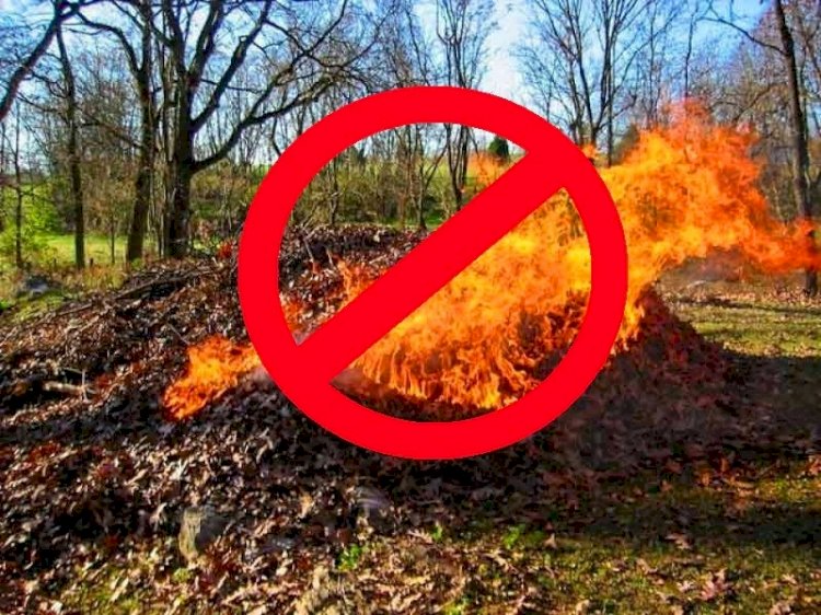 Алматинцам напомнили, что сжигать мусор и листву на субботниках запрещено
