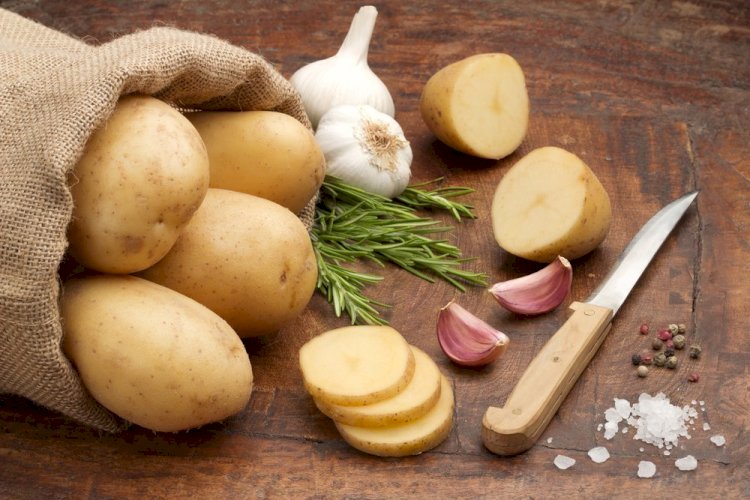 Лучше не рисковать: названы признаки ядовитого картофеля
