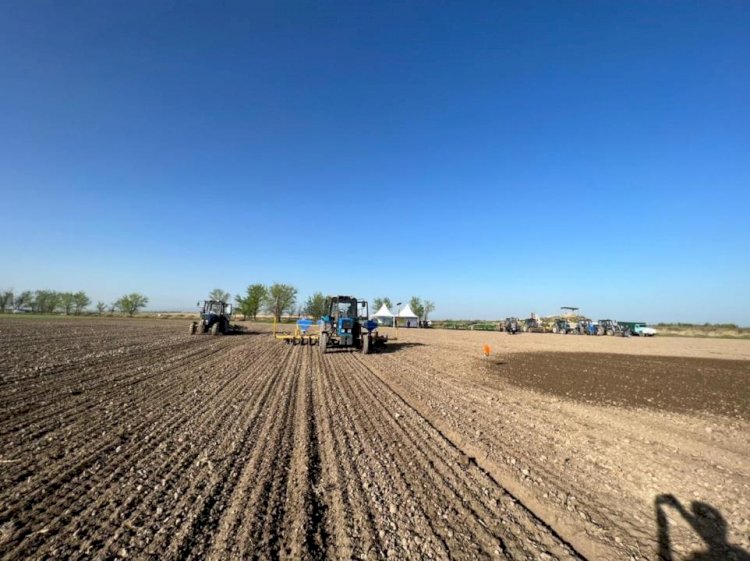 Казахстанским фермерам окажут беспрецедентные меры поддержки