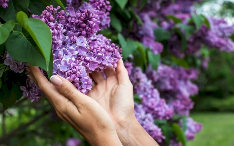 Синоптики прогнозируют до +30 °C в Алматы и по области