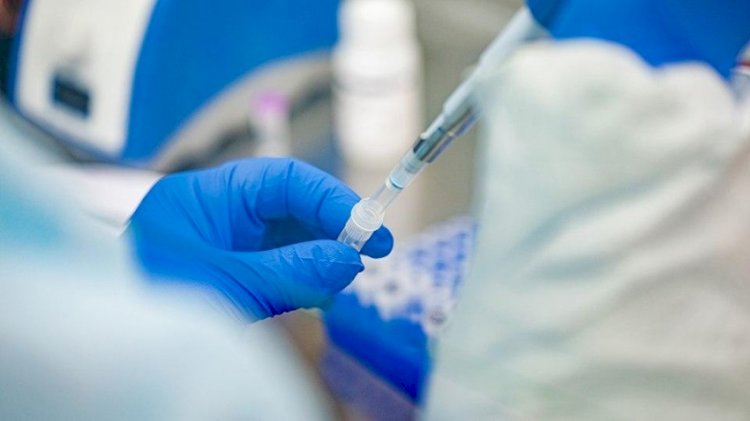 Более полутора тысяч случаев заболевания коронавирусом выявили в Казахстане за сутки