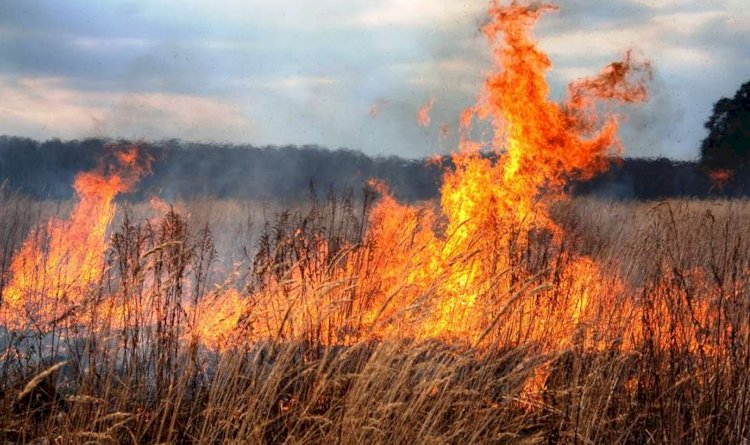 Крупные пожары в ВКО: огонь охватил сотни гектаров
