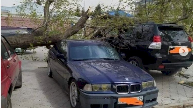 В Петропавловске ураган снес крыши с домов