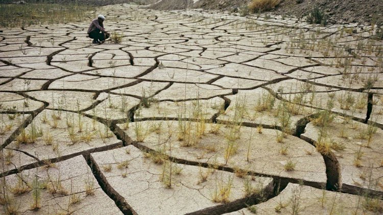 Сильную засуху в мае прогнозируют синоптики в двух регионах Казахстана