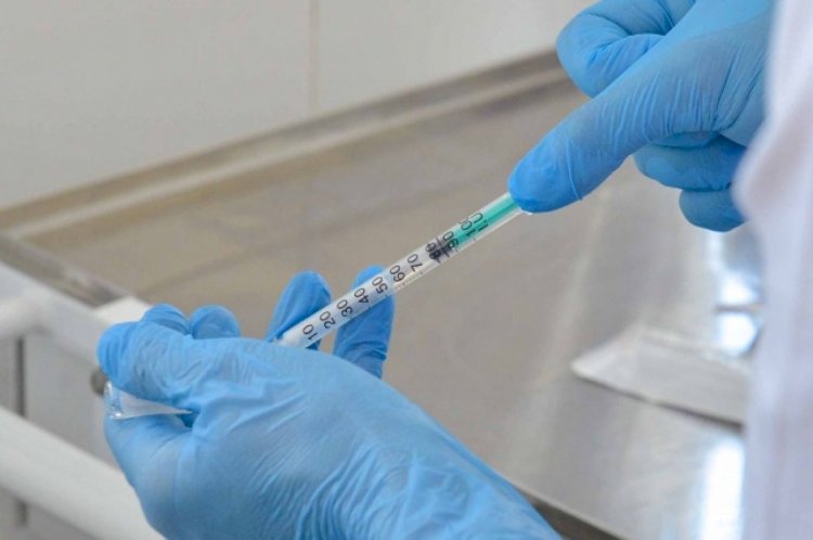 Казахстанские ученые готовы создать вакцину от оспы обезьян