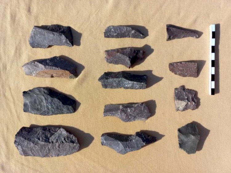 Артефакты каменного века нашли в Алматинской области