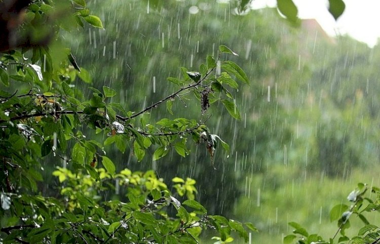Дожди, грозы и понижение температуры ожидаются в Казахстане