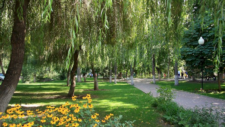 Новые парки, арычные системы, чистые водоемы и переход на газ: как акимат планирует улучшить экологию Алматы