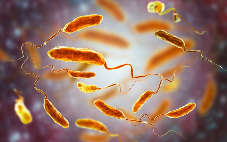 Минздрав РК усилил контроль за прибывающими из-за риска завоза холеры