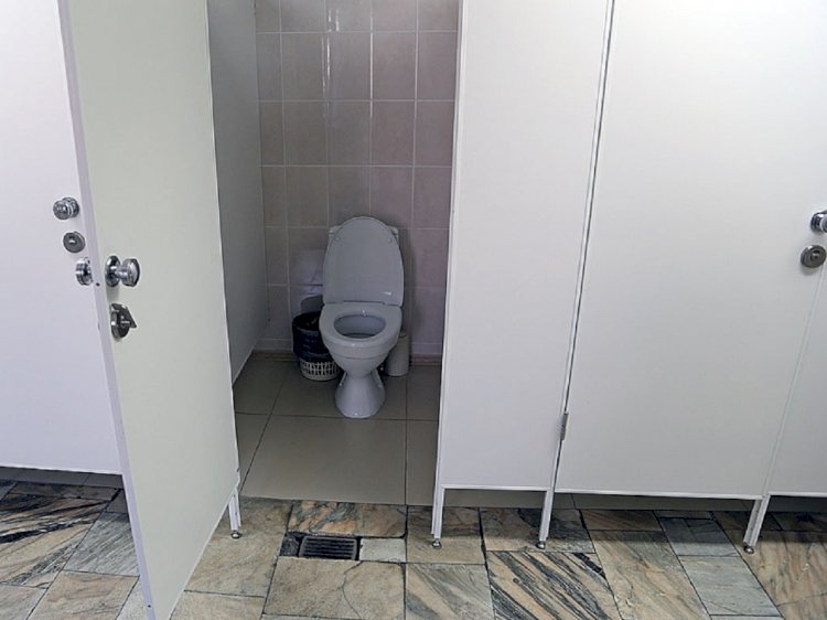 Психбольной пытался изнасиловать двух школьниц в туалете в Алматинской области