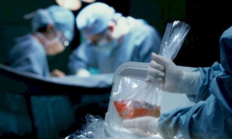 Более 100 операций по пересадке органов провели в Казахстане с начала года