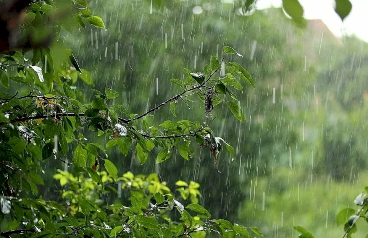 Дожди и грозы ожидаются на выходные в Казахстане