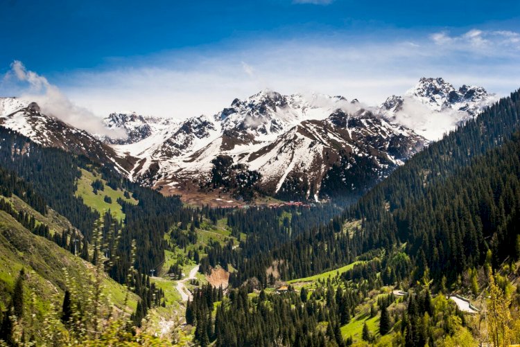 Турист из Великобритании заблудился в горах Алматы