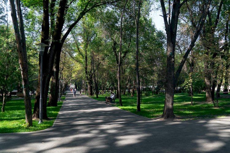 Когда планируется ремонт в парке им. Ганди в Алматы