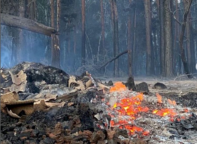 В Костанайской области продолжается борьба с сильным лесным пожаром