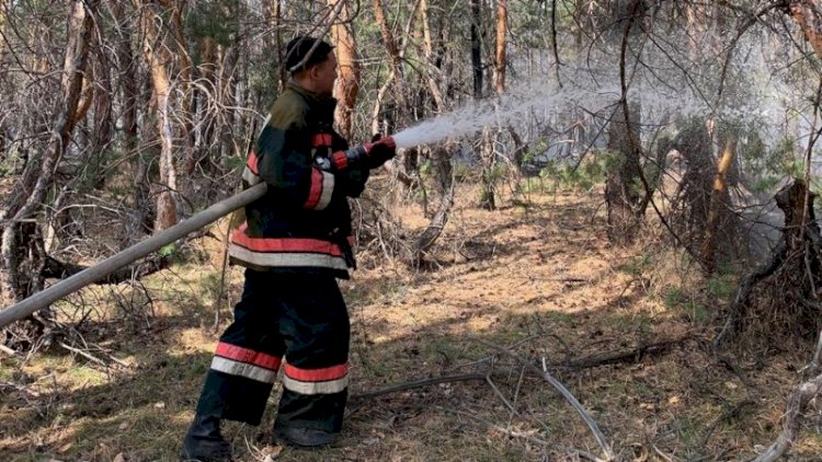 В Костанайской области продолжается борьба с пожарами