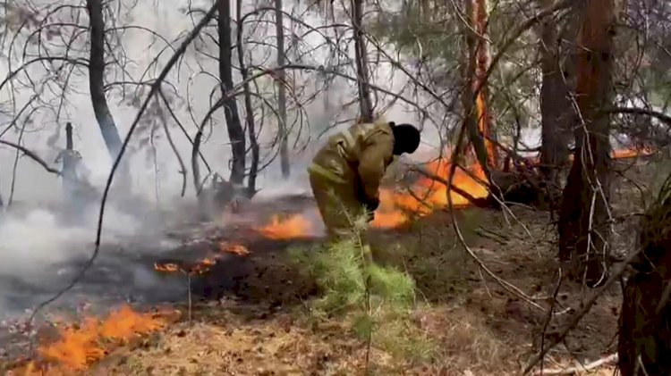 Рассылку о пьяном пилоте, якобы поджегшем леса в Костанайской области, опровергли в МО РК