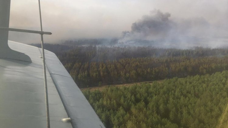 Локализован природный пожар в Аулиекольском районе Костанайской области