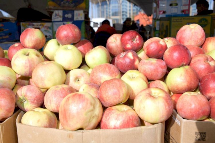 В столице прошла ярмарка сельскохозяйственной продукции Алматинской области