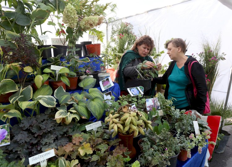 Райские сады: как прошел фестиваль Almaty Garden Show в Алматы