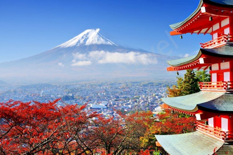 Япония снимет ограничения COVID-19 для иностранных туристов