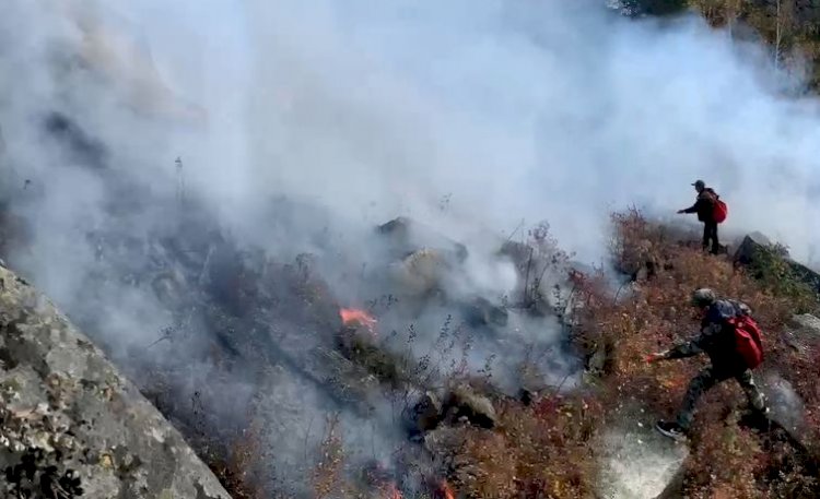 Пожар на горе в нацпарке «Бурабай» локализован – МЧС РК