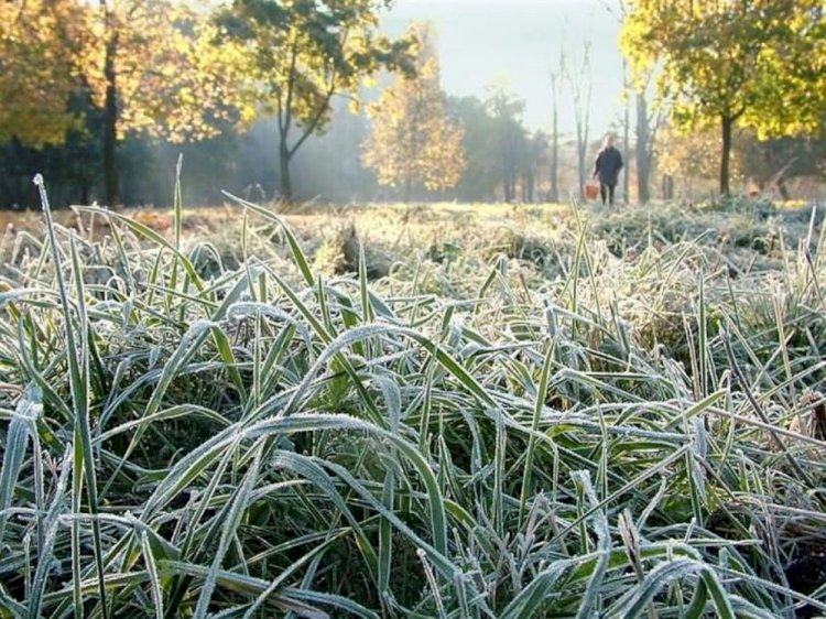 Похолодание до минус 10 градусов ожидается в Казахстане