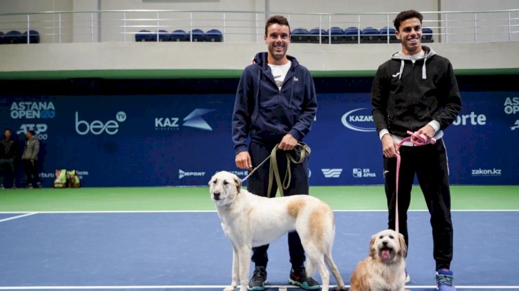 Перед стартом Astana Open звезды тенниса поучаствовали в акции помощи бездомным животным