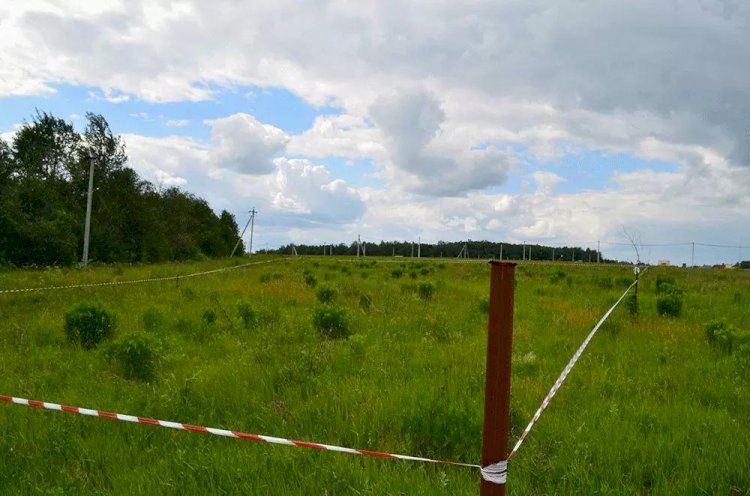 Еще 33 незаконно выданных земельных участка вернули в госсобственность