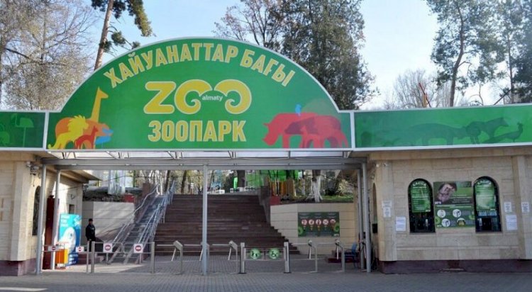 Алматинскому зоопарку исполнилось 85 лет