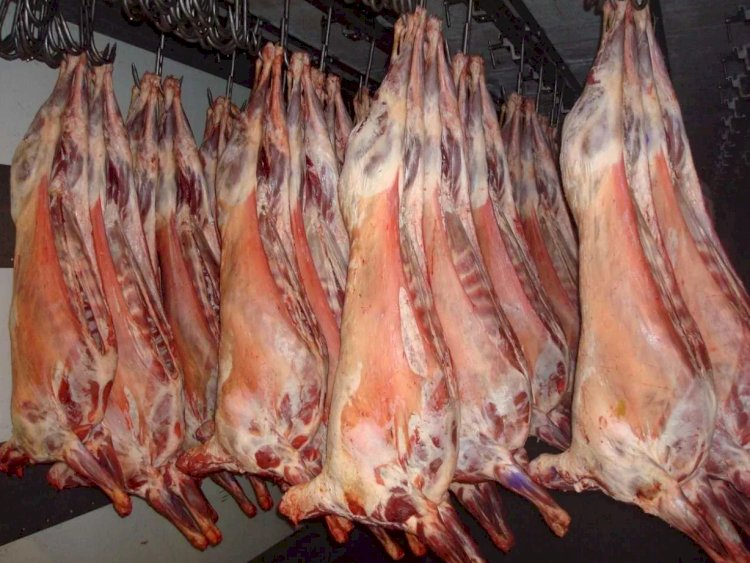 Минсельхоз РК увеличит долю экспорта баранины в арабские страны