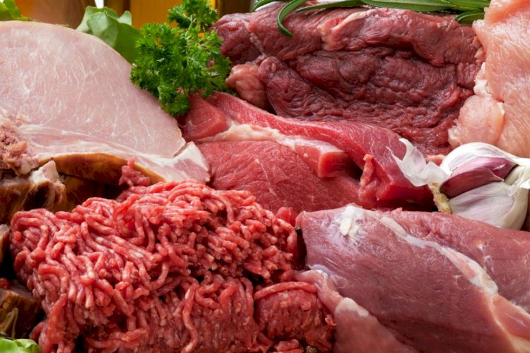 Как развивается мясная промышленность Казахстана