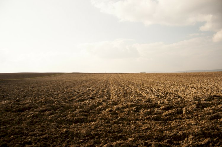 Казгидромет сообщил о запасах влаги в почве по территории Казахстана