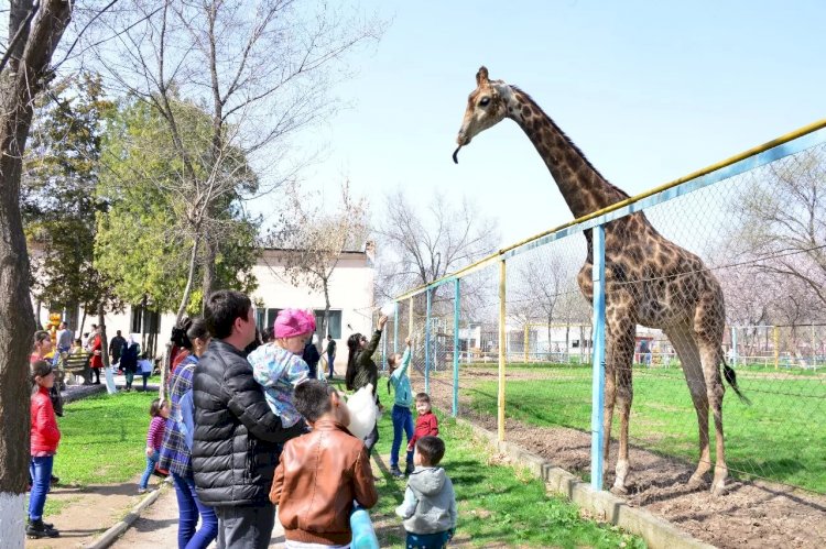В Алматы проведут реконструкцию зоопарка