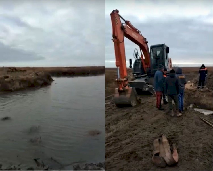 В Атырауской области в каналы запустили воду для скота