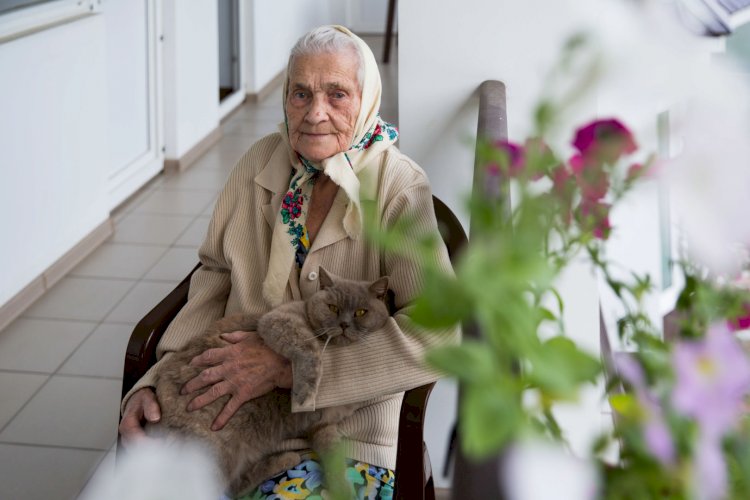 Более 20 тысяч пенсионеров проживают в казахстанских домах престарелых