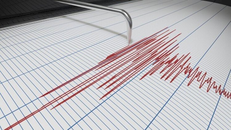 Землетрясение произошло в 279 км от Алматы