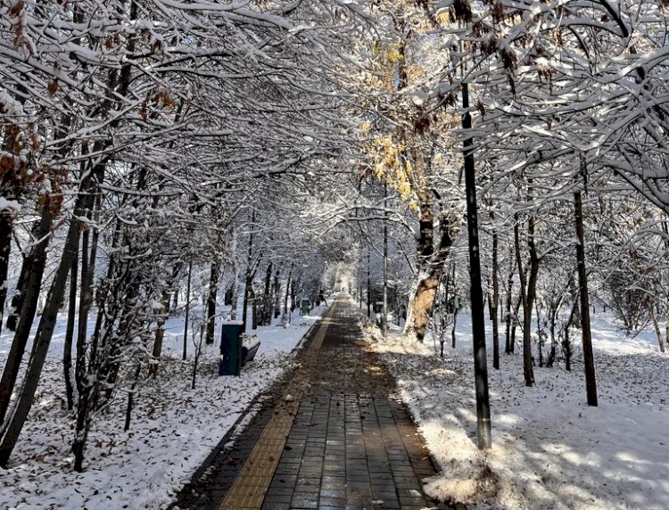 В госсобственность вернули парк «Южный» в Алматы