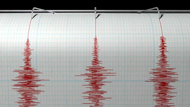 Землетрясение магнитудой 5,4 произошло на юге Казахстана