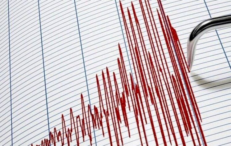Землетрясение произошло в 375 км от Алматы