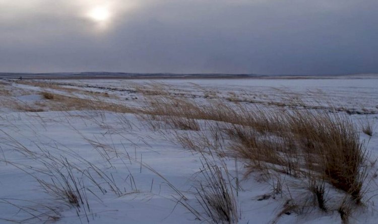 Мужчина насмерть замерз в степи в Карагандинской области