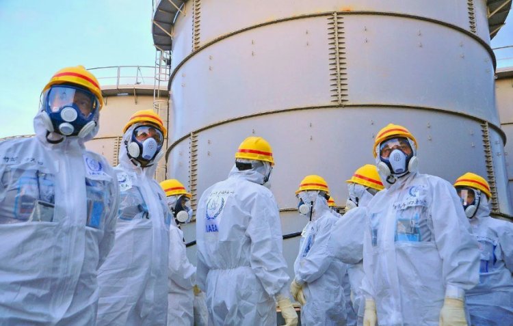Эксперты МАГАТЭ начали изучать вопрос строительства АЭС в Казахстане