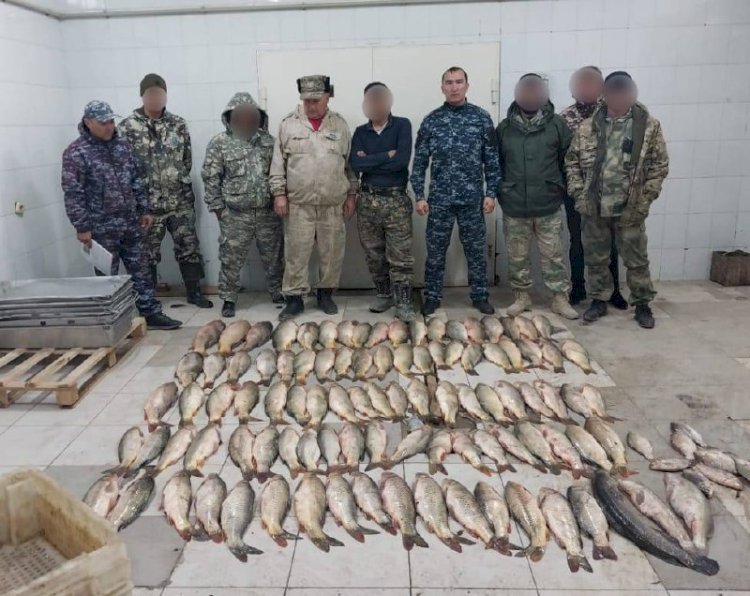 Туркестанские полицейские изъяли 160 килограммов незаконно выловленной рыбы