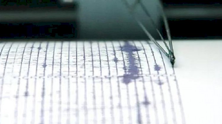 Землетрясение произошло в 591 км от Алматы