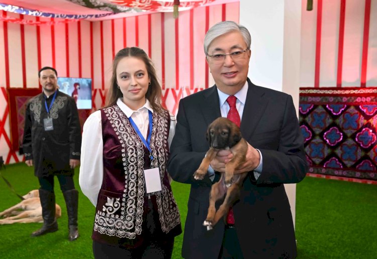 Касым-Жомарт Токаев посетил выставку собак породы тазы и получил в подарок щенка